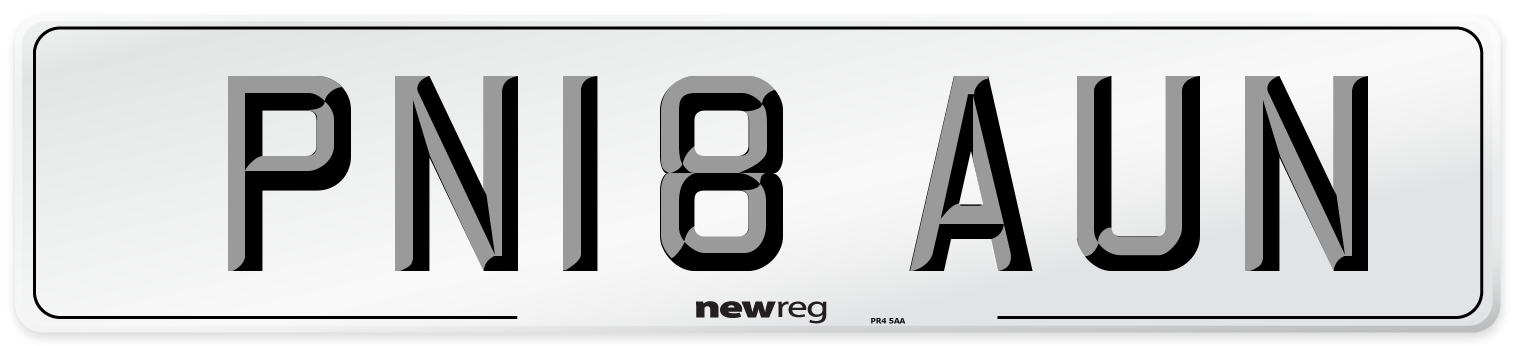 PN18 AUN Number Plate from New Reg